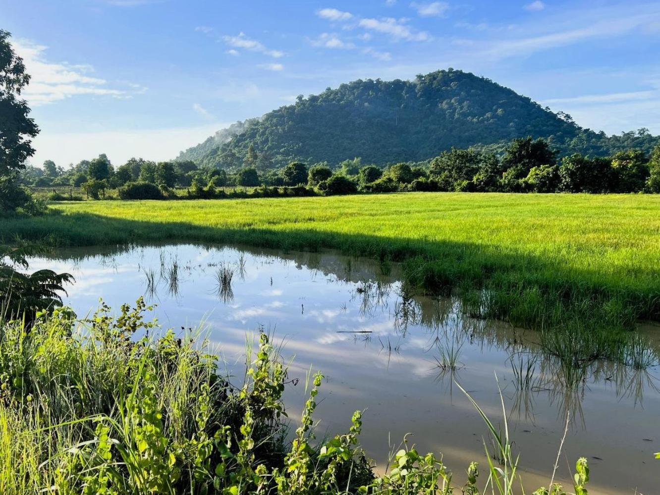 The Little Vegan Homestay Phumi Banteay Srei エクステリア 写真