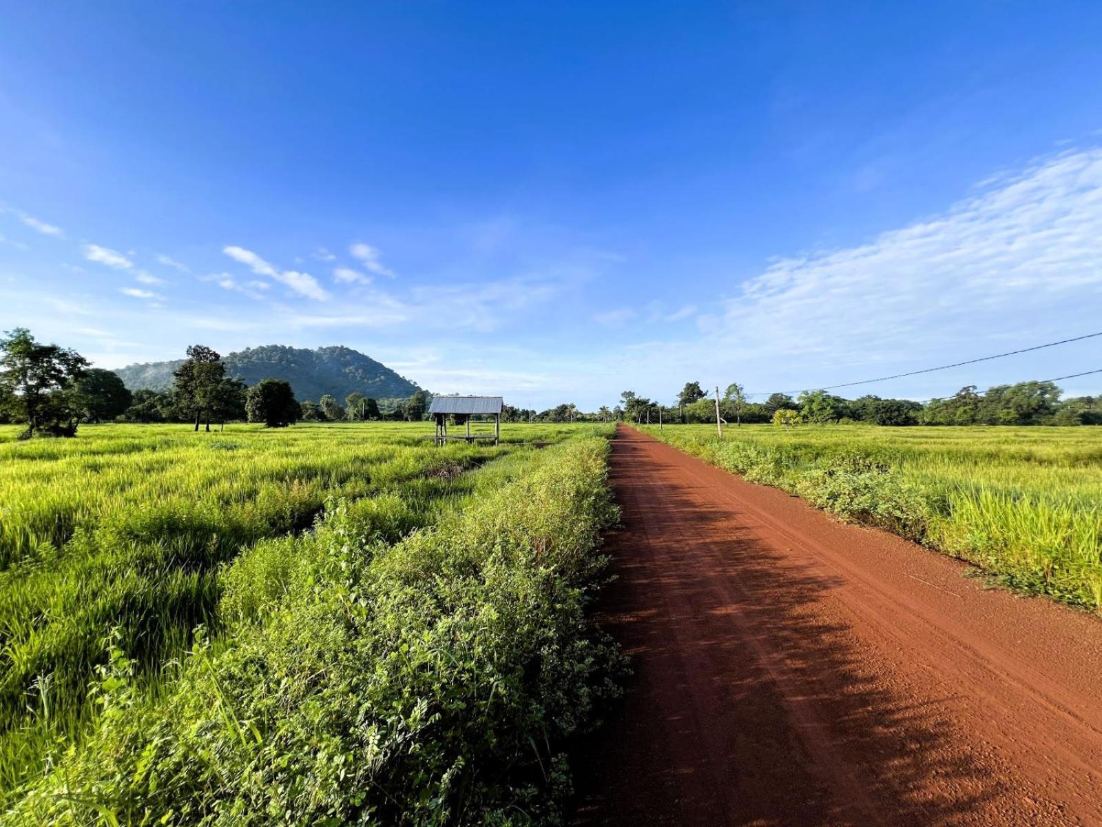 The Little Vegan Homestay Phumi Banteay Srei エクステリア 写真
